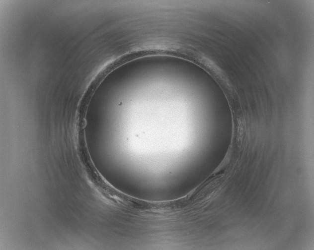 X0000061110580200512022128