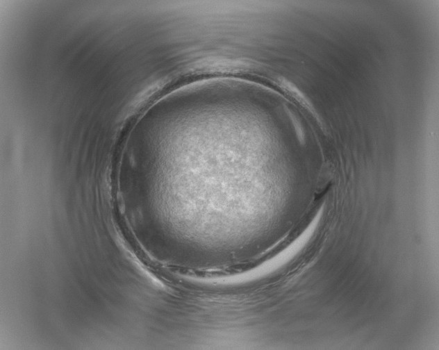 X0000061110581200512022128