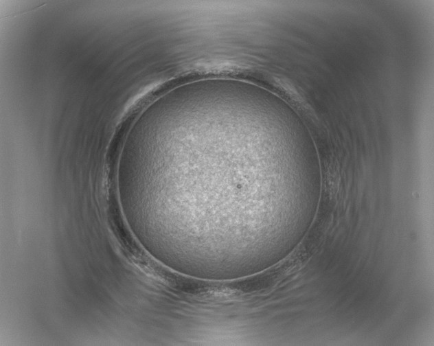 X0000061110583200512022128