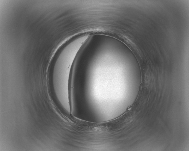 X0000061110584200512022128