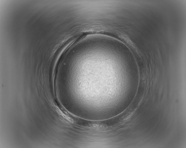 X0000061110585200512022128