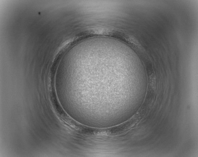 X0000061110587200512022128