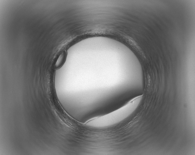 X0000061110588200512022128