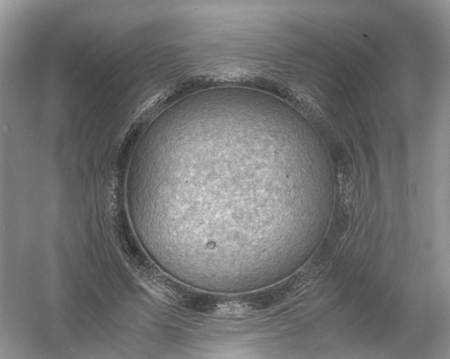 X0000061110591200512022128