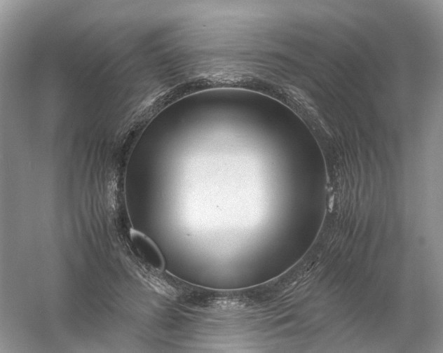 X0000061110596200512022128