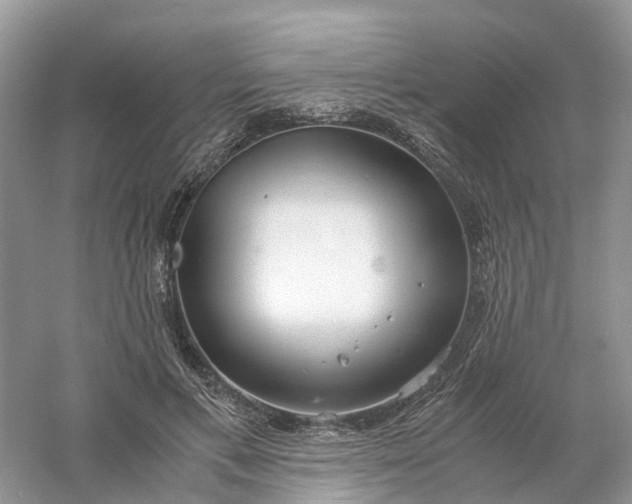 X0000061110597200512022127