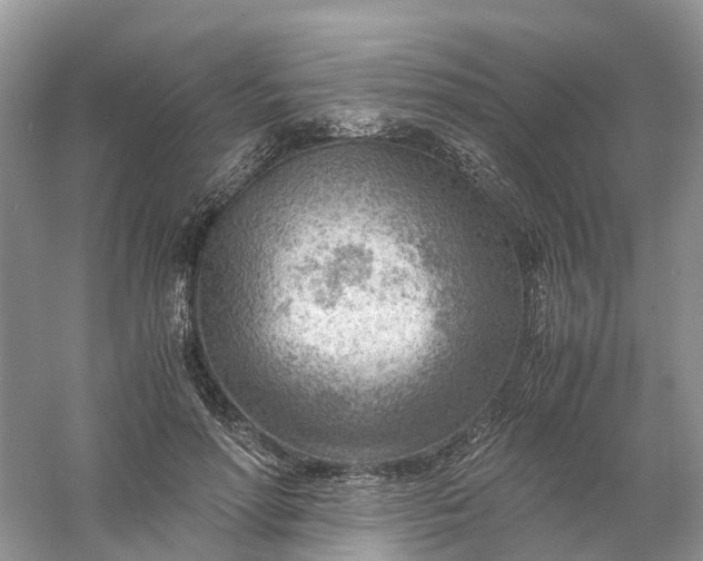 X0000061110598200512022127