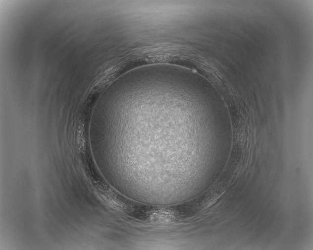 X0000061110599200512022127