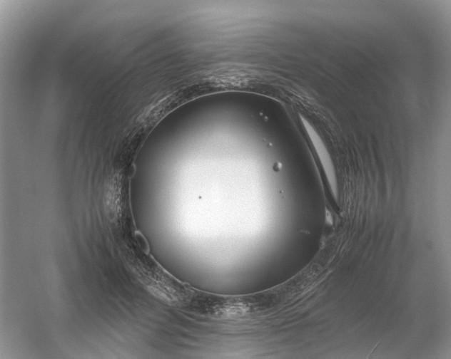 X0000061110600200512022127