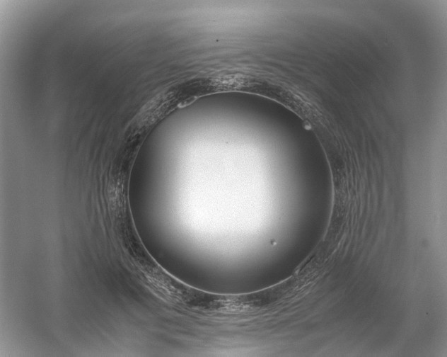 X0000061110601200512022127