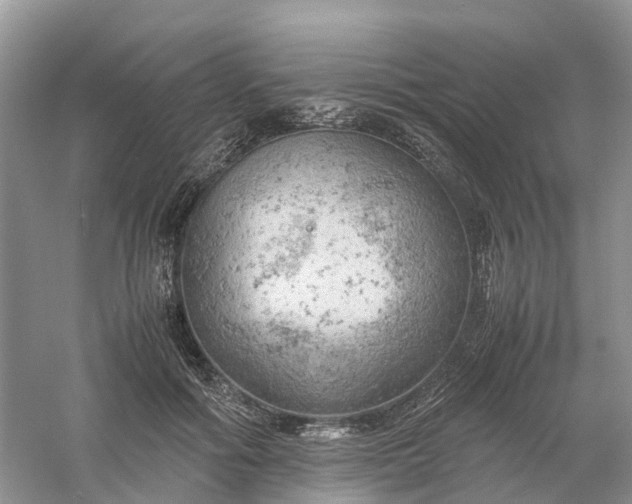 X0000061110602200512022127