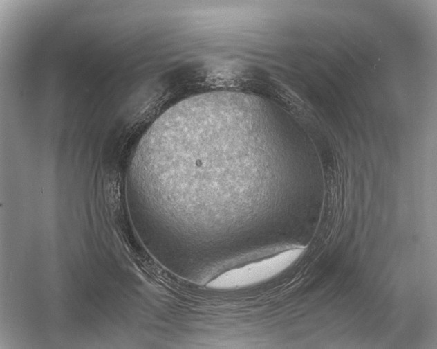 X0000061110603200512022127