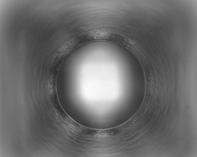 X0000061110604200512022127