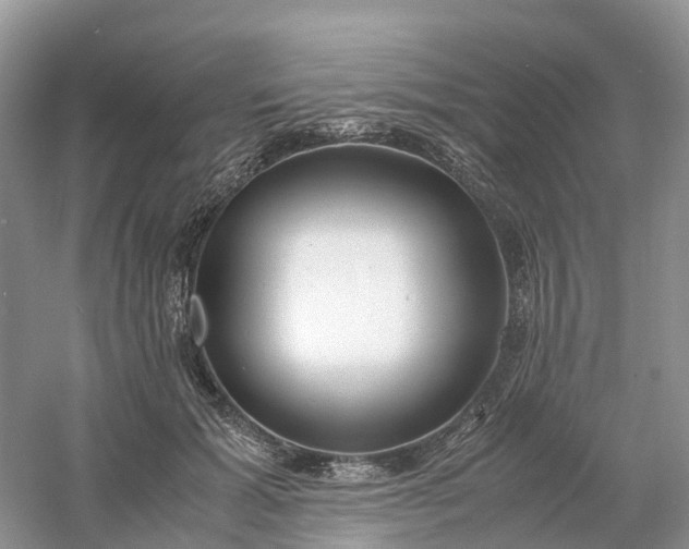 X0000061110605200512022127