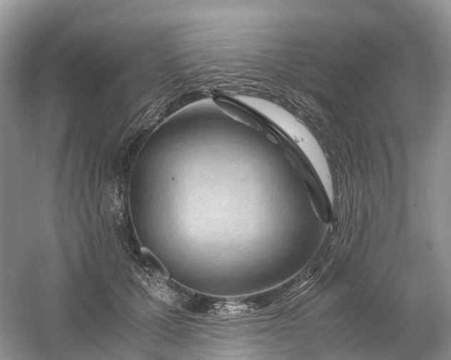 X0000061110607200512022127