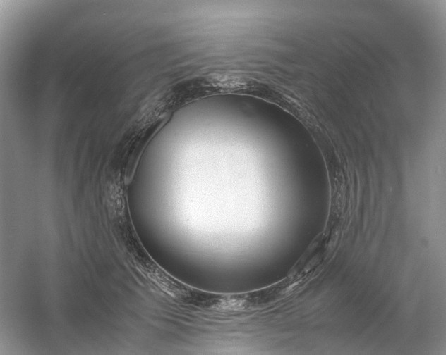 X0000061110609200512022127