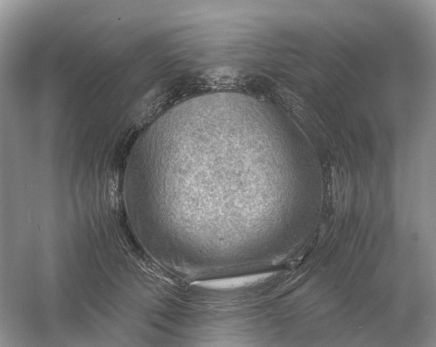 X0000061110610200512022127