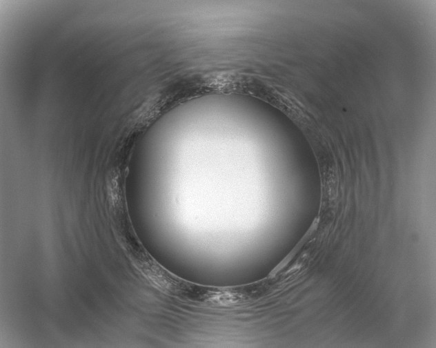 X0000061110611200512022127