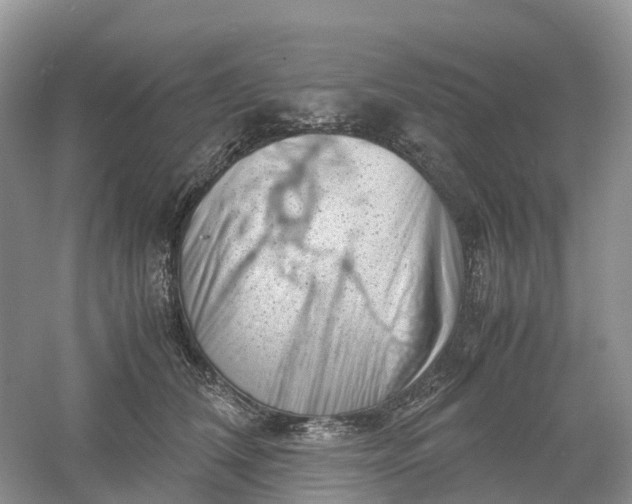 X0000061110612200512022127