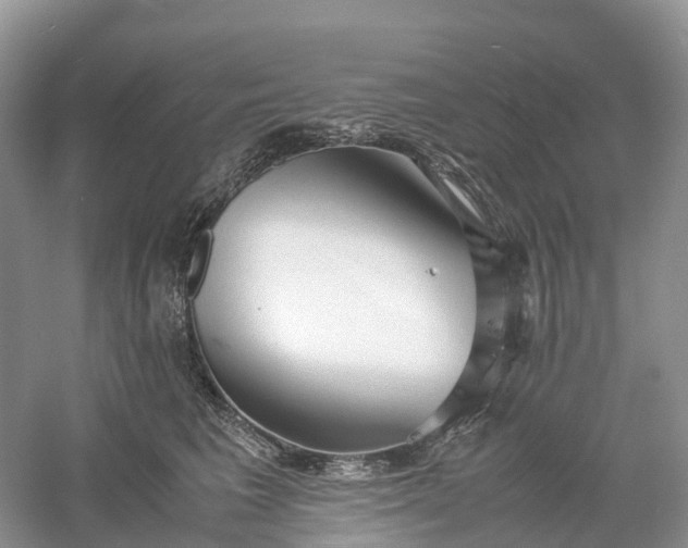 X0000061110613200512022127