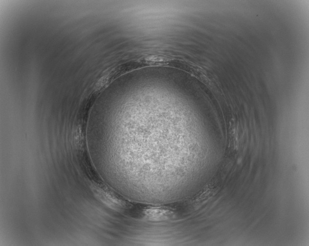 X0000061110614200512022127