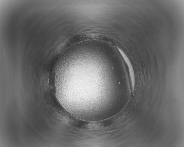 X0000061110615200512022127