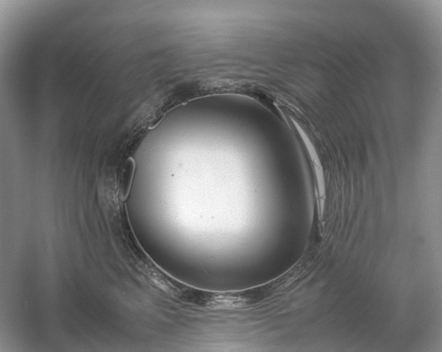 X0000061110617200512022127