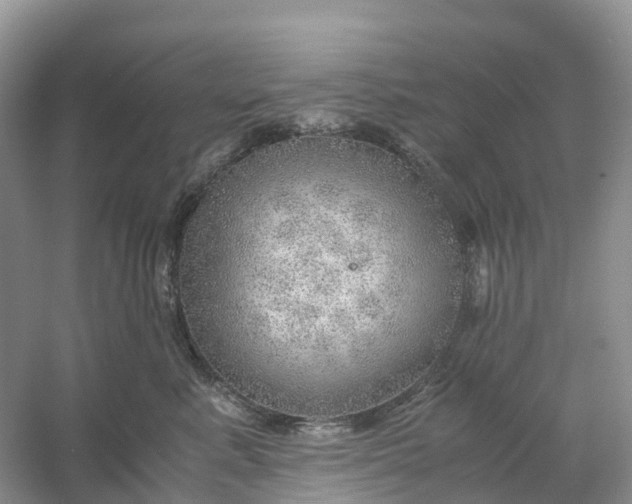 X0000061110619200512022127