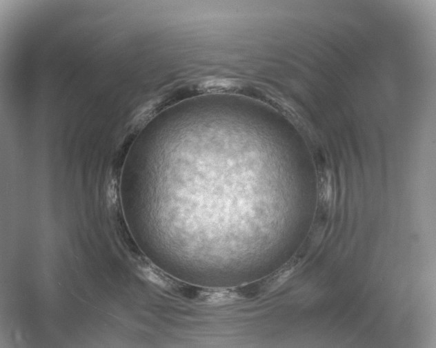 X0000061110621200512022127