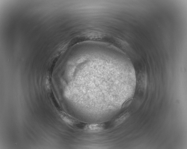 X0000061110622200512022127