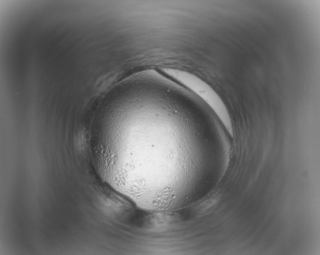 X0000061110623200512022127