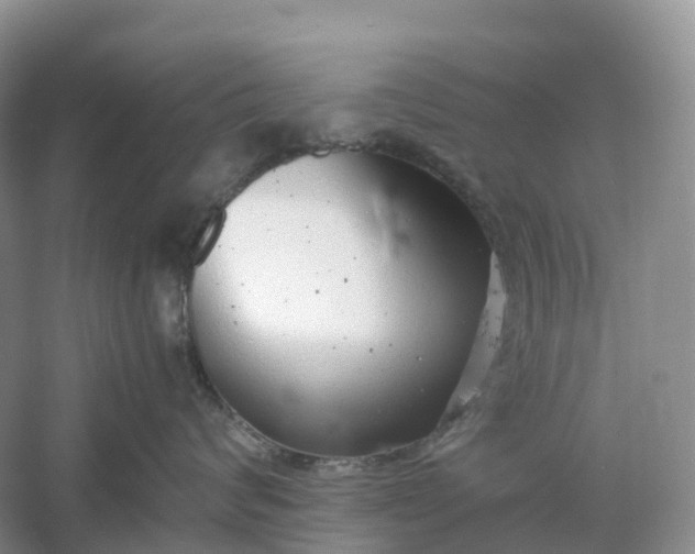 X0000061110624200512022127