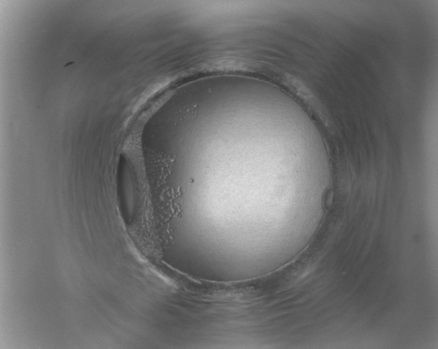 X0000061110625200512022126