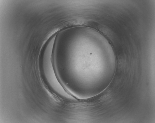 X0000061110626200512022126