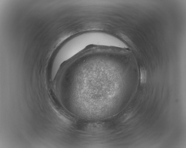 X0000061110627200512022126