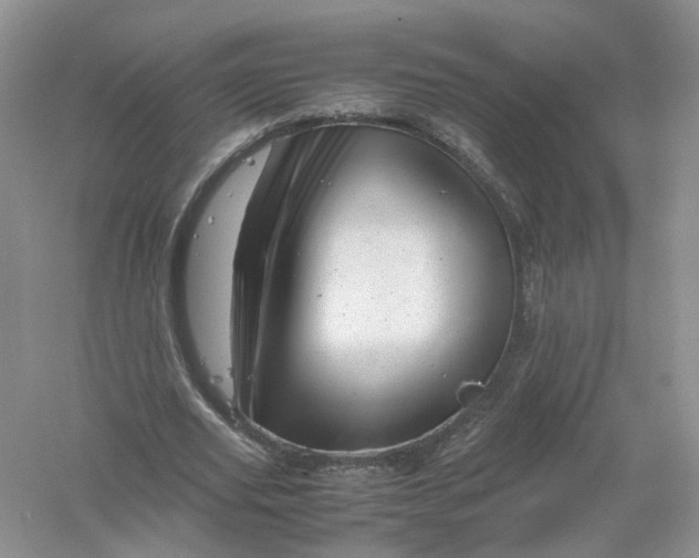 X0000061110629200512022126