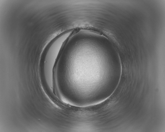 X0000061110630200512022126