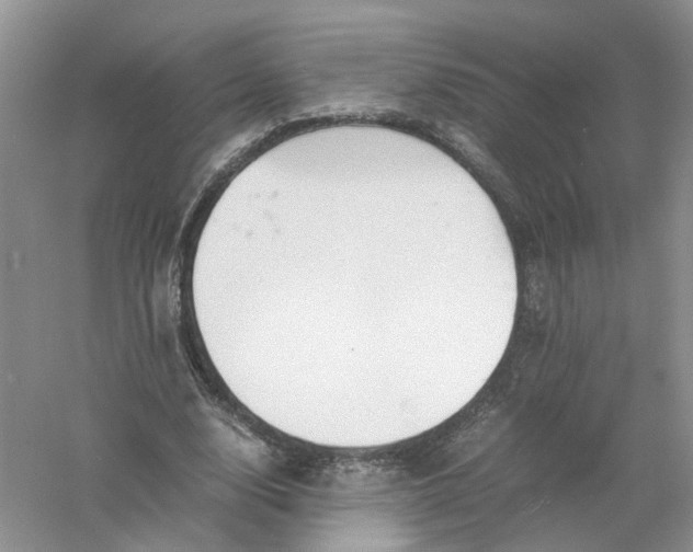 X0000061110632200512022126