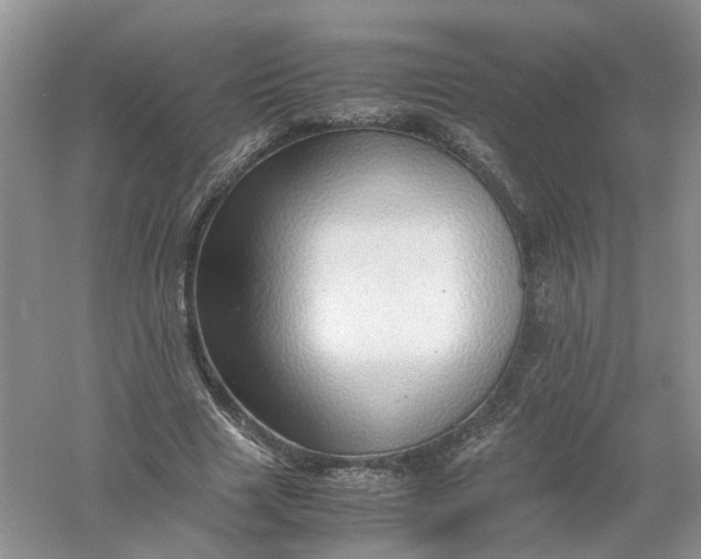 X0000061110633200512022126