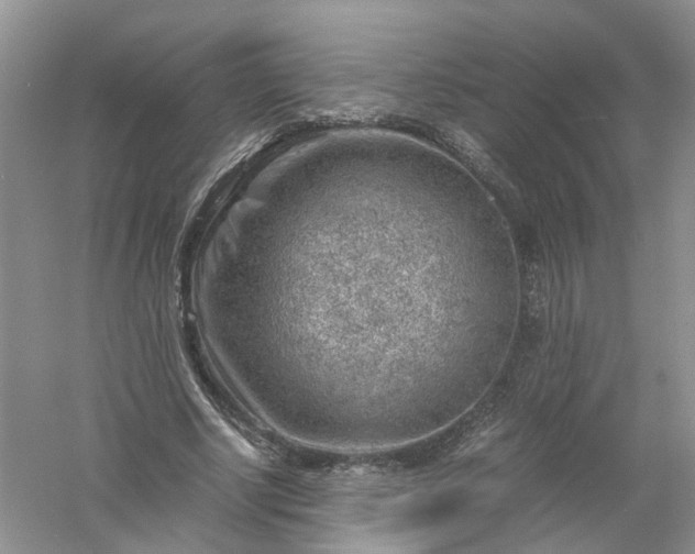 X0000061110634200512022126