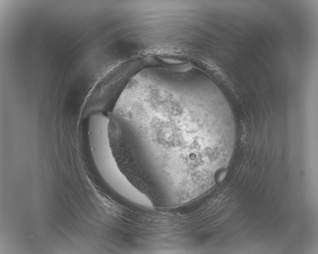 X0000061110636200512022126