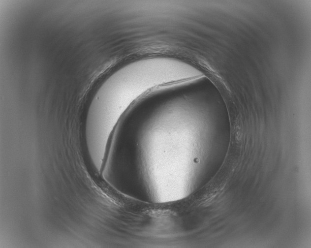 X0000061110637200512022126