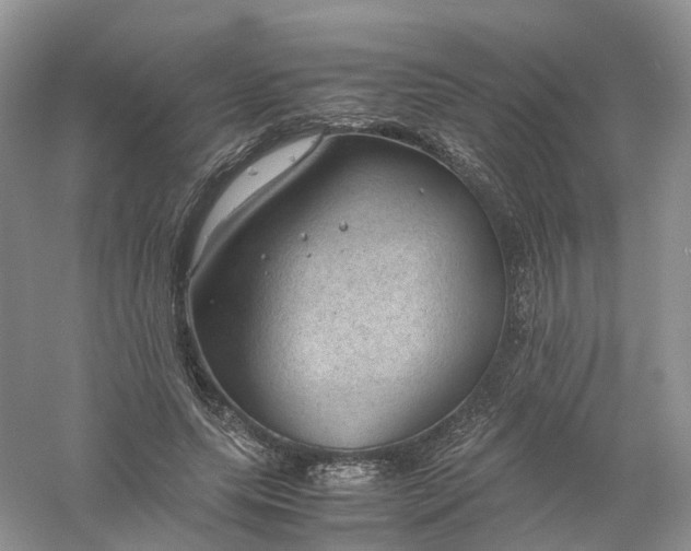 X0000061110639200512022126