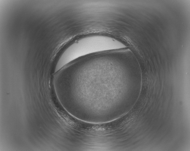 X0000061110640200512022126