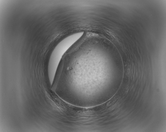 X0000061110643200512022126