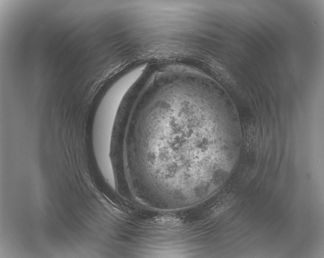 X0000061110644200512022127