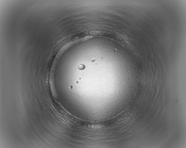 X0000061110645200512022127