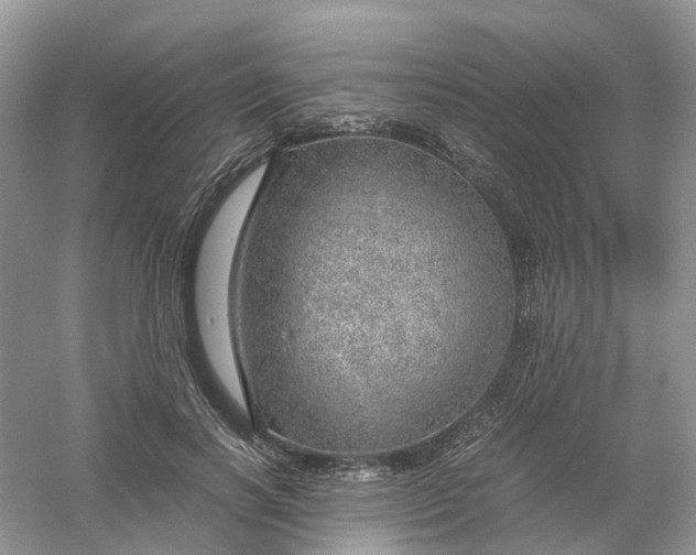 X0000061110646200512022127