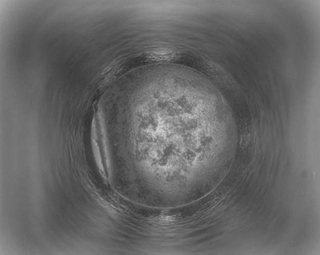 X0000061110647200512022127