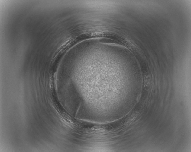 X0000061110648200512022127